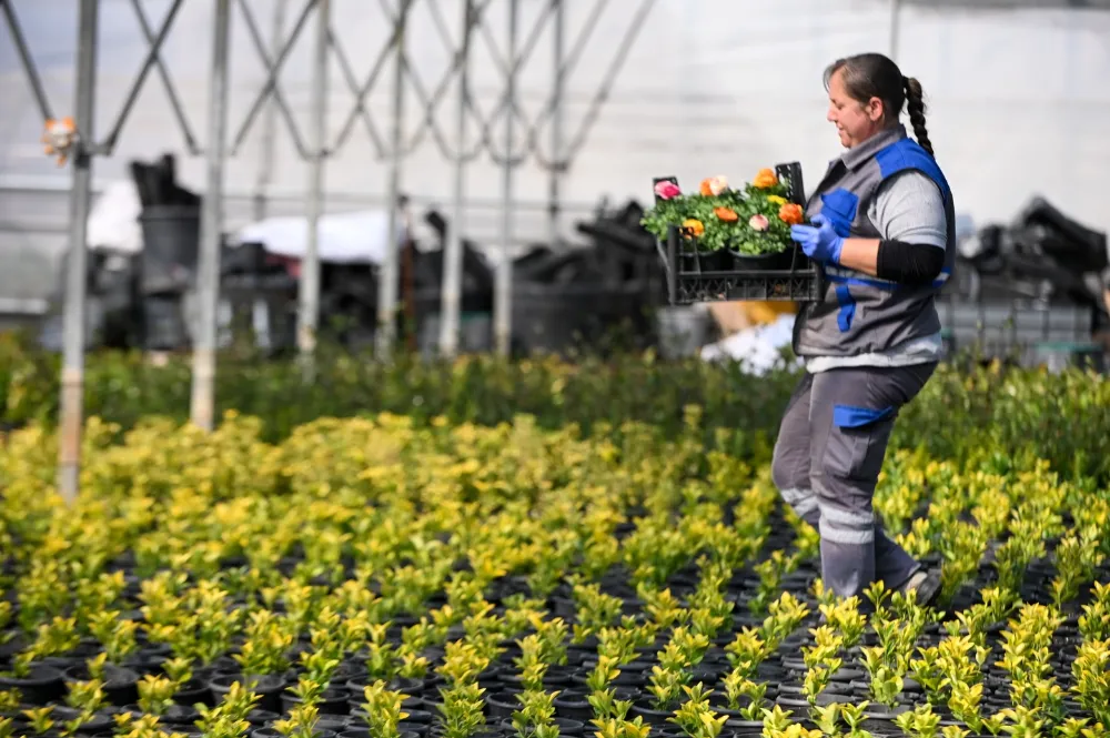 BELEDİYE ÜRETİYOR, ÇANAKKALE GÜZELLEŞİYOR